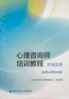 心理咨询师培训教程：咨询实务教材封面